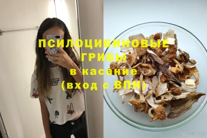 Псилоцибиновые грибы Magic Shrooms  Красногорск 